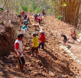 WARGA PADUKUHAN PACE B GOTONG ROYONG BUKA AKSES JALAN ALTERNATIF BARU